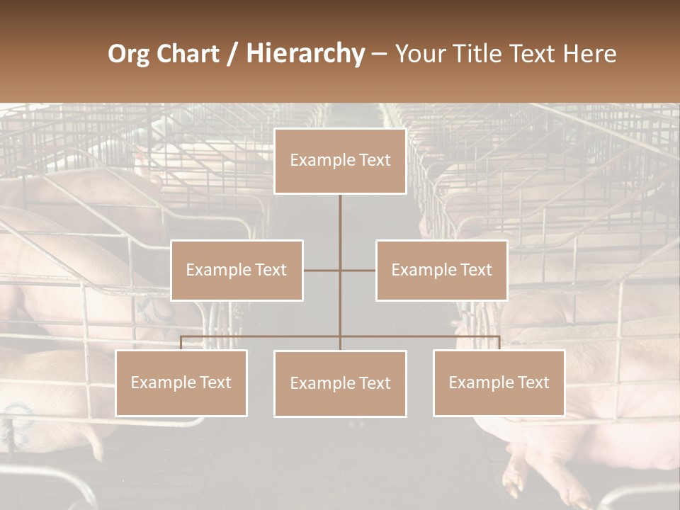 Industry Switch Cooling PowerPoint Template