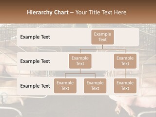 Industry Switch Cooling PowerPoint Template