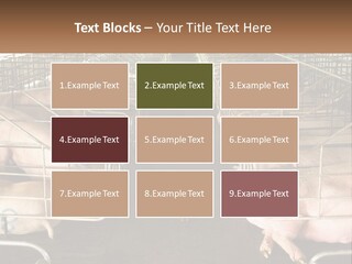 Industry Switch Cooling PowerPoint Template