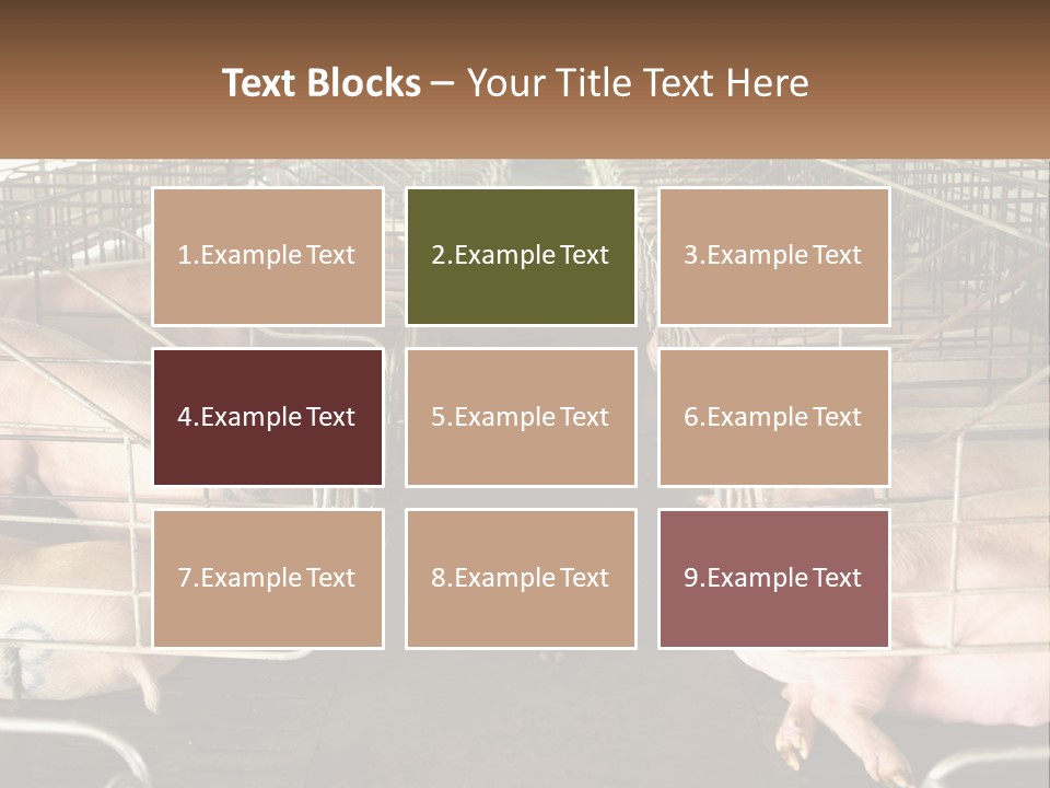 Industry Switch Cooling PowerPoint Template