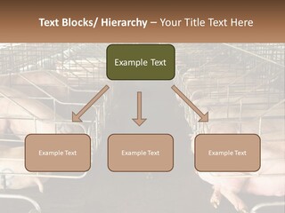 Industry Switch Cooling PowerPoint Template