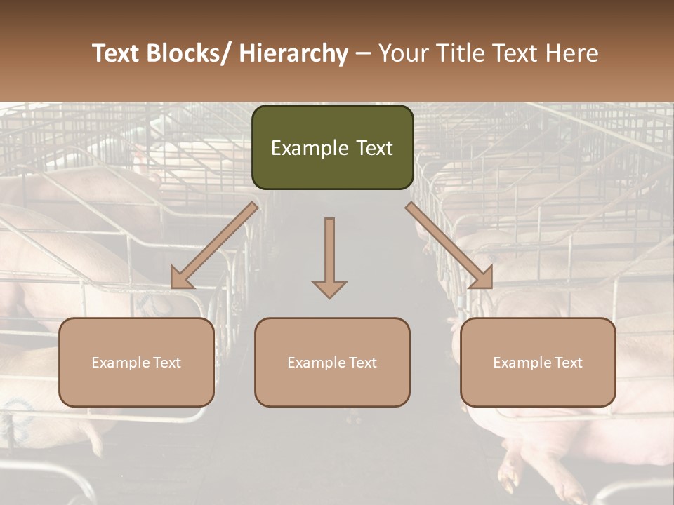Industry Switch Cooling PowerPoint Template