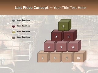 Industry Switch Cooling PowerPoint Template