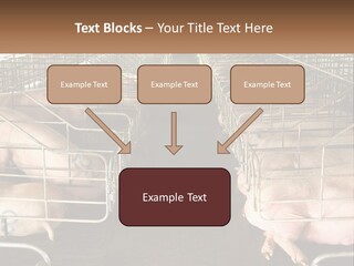 Industry Switch Cooling PowerPoint Template