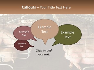 Industry Switch Cooling PowerPoint Template
