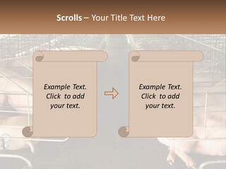 Industry Switch Cooling PowerPoint Template