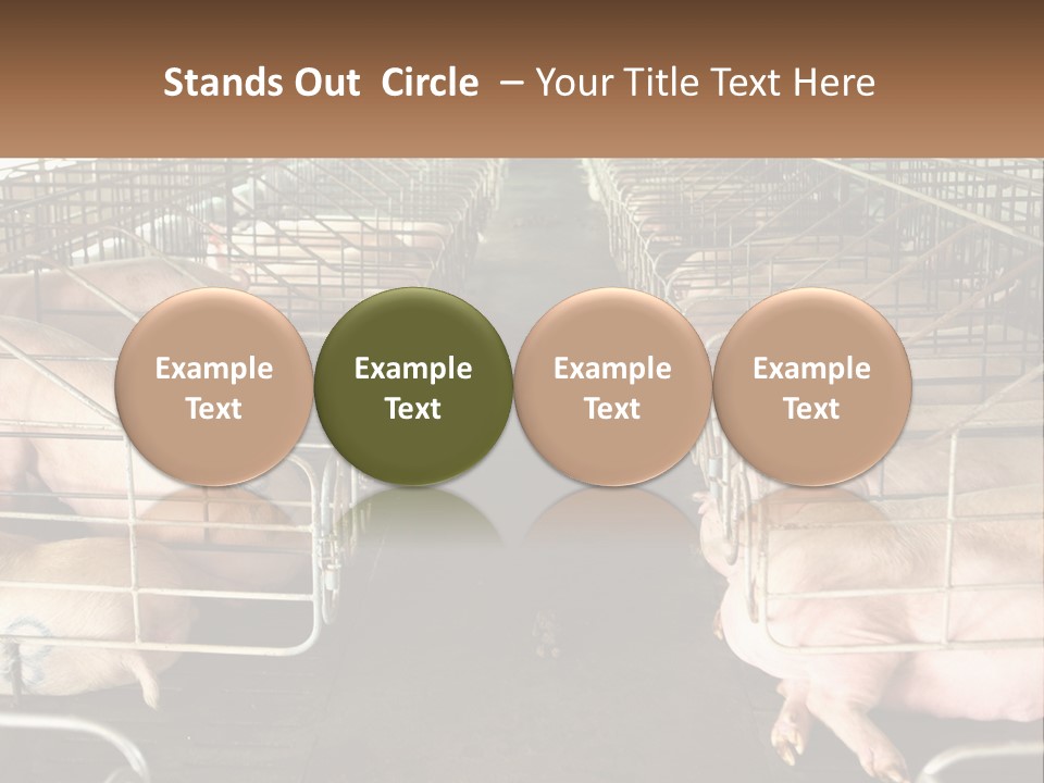 Industry Switch Cooling PowerPoint Template