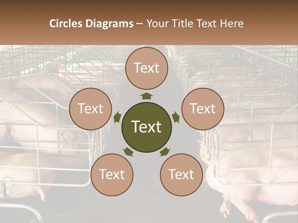 Industry Switch Cooling PowerPoint Template