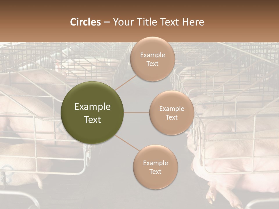 Industry Switch Cooling PowerPoint Template