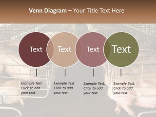 Industry Switch Cooling PowerPoint Template