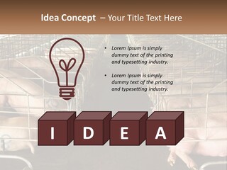 Industry Switch Cooling PowerPoint Template