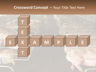 Industry Switch Cooling PowerPoint Template