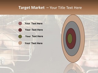 Industry Switch Cooling PowerPoint Template