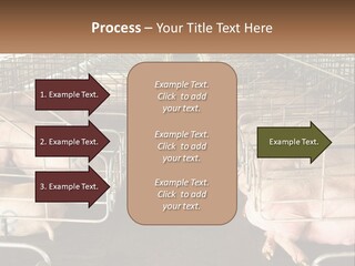 Industry Switch Cooling PowerPoint Template
