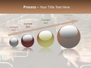 Industry Switch Cooling PowerPoint Template