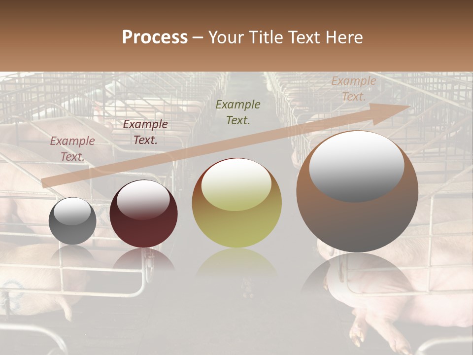 Industry Switch Cooling PowerPoint Template
