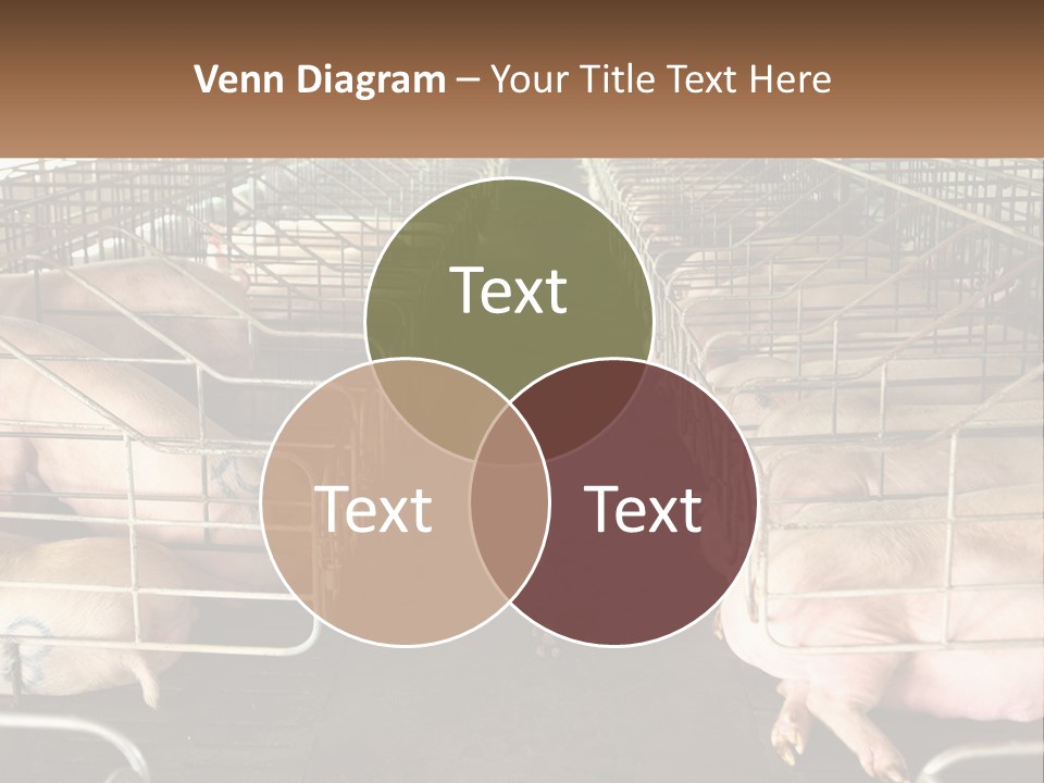Industry Switch Cooling PowerPoint Template