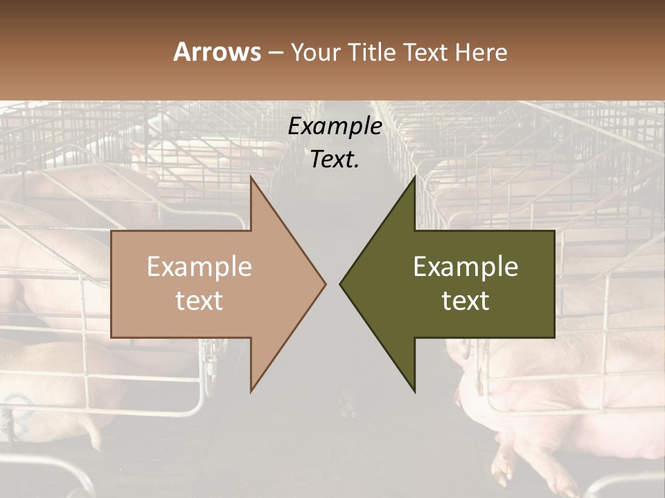 Industry Switch Cooling PowerPoint Template