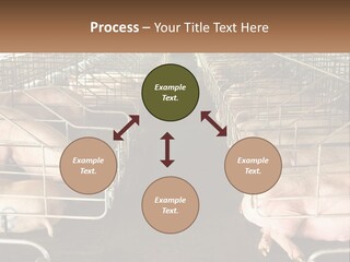 Industry Switch Cooling PowerPoint Template