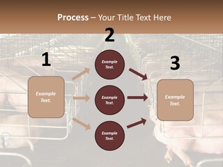 Industry Switch Cooling PowerPoint Template