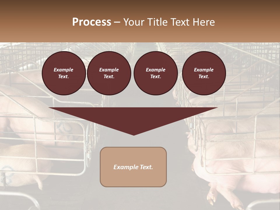 Industry Switch Cooling PowerPoint Template