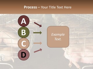 Industry Switch Cooling PowerPoint Template