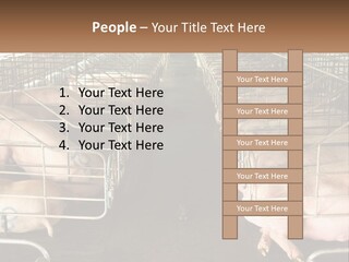 Industry Switch Cooling PowerPoint Template