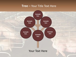 Industry Switch Cooling PowerPoint Template