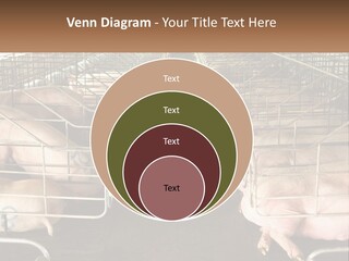 Industry Switch Cooling PowerPoint Template
