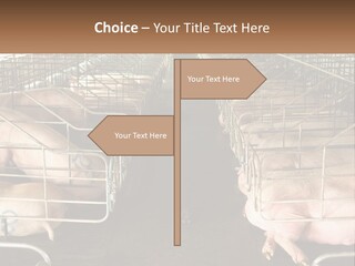 Industry Switch Cooling PowerPoint Template