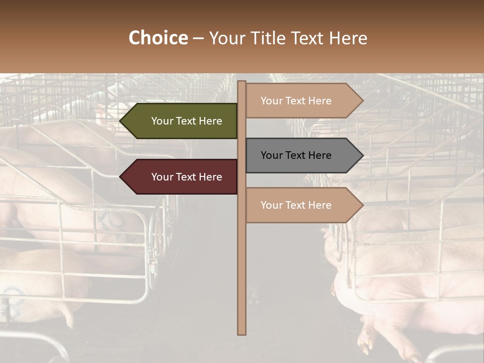 Industry Switch Cooling PowerPoint Template