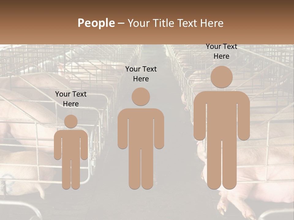 Industry Switch Cooling PowerPoint Template