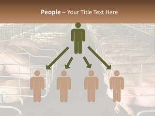 Industry Switch Cooling PowerPoint Template