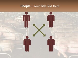 Industry Switch Cooling PowerPoint Template