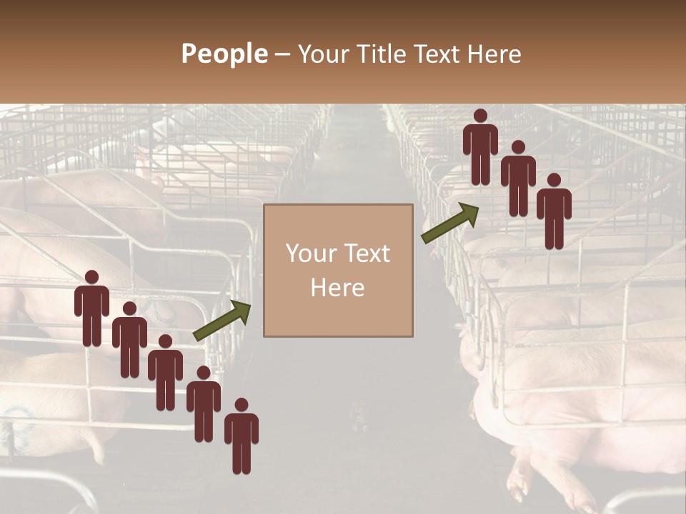 Industry Switch Cooling PowerPoint Template