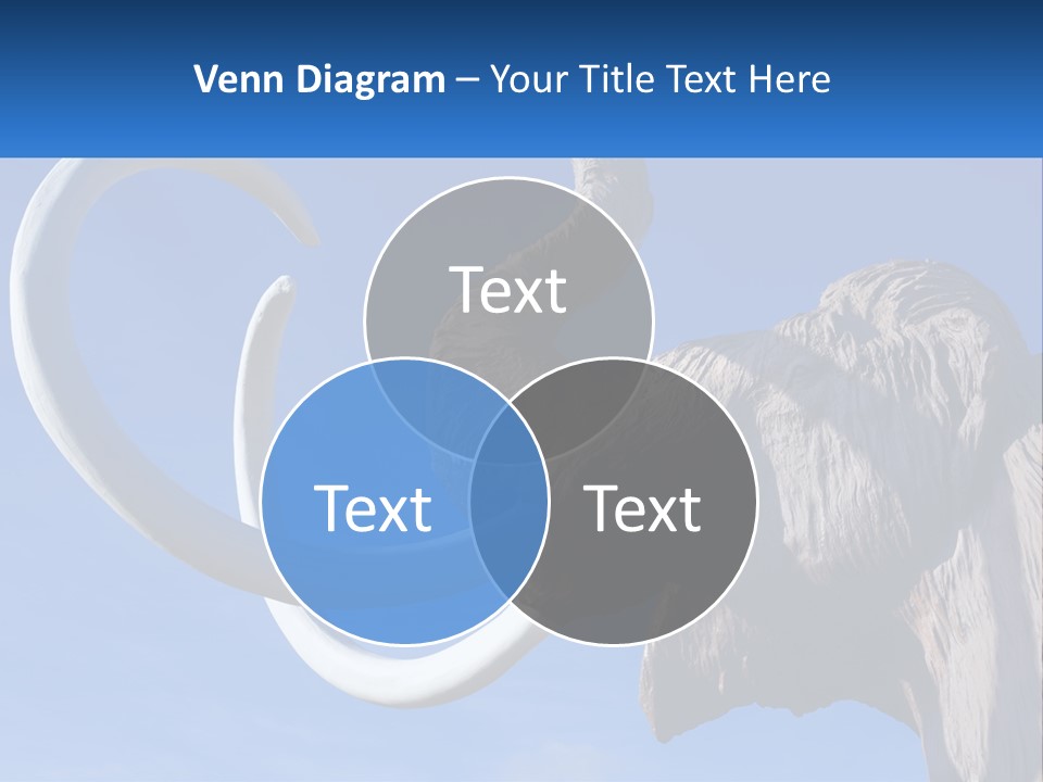 Equipment Switch Energy PowerPoint Template