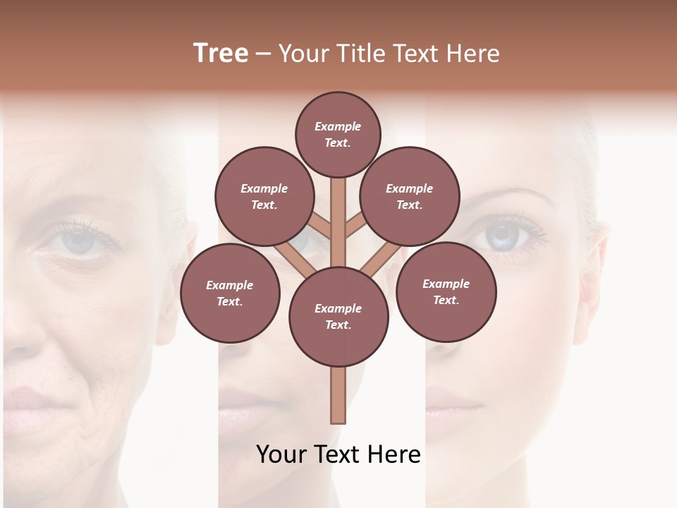Equipment Switch Condition PowerPoint Template