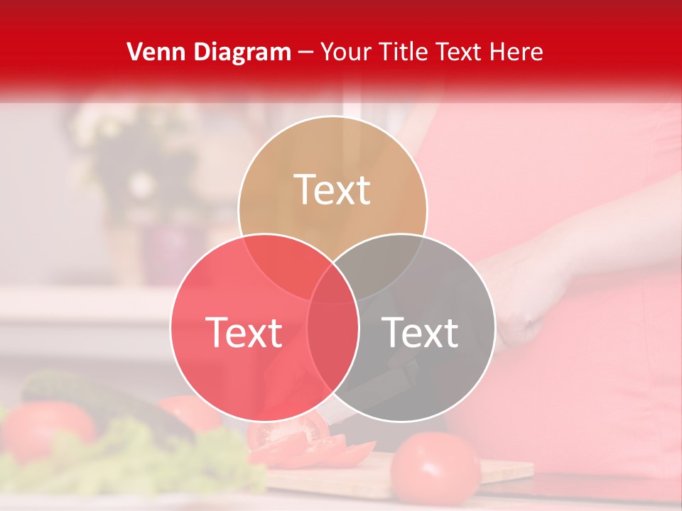 House Equipment Conditioner PowerPoint Template