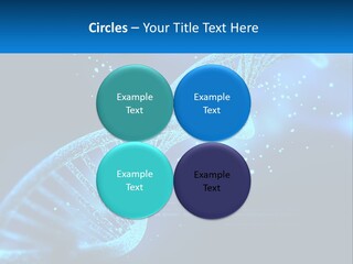 House White Climate PowerPoint Template