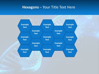 House White Climate PowerPoint Template