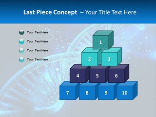 House White Climate PowerPoint Template