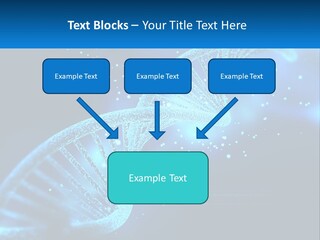 House White Climate PowerPoint Template