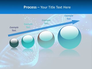 House White Climate PowerPoint Template