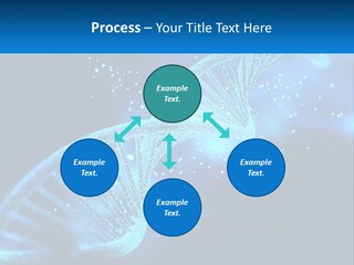 House White Climate PowerPoint Template