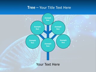 House White Climate PowerPoint Template