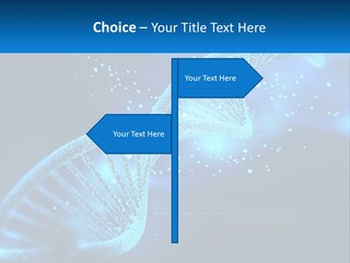 House White Climate PowerPoint Template