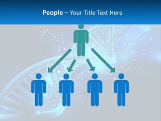 House White Climate PowerPoint Template