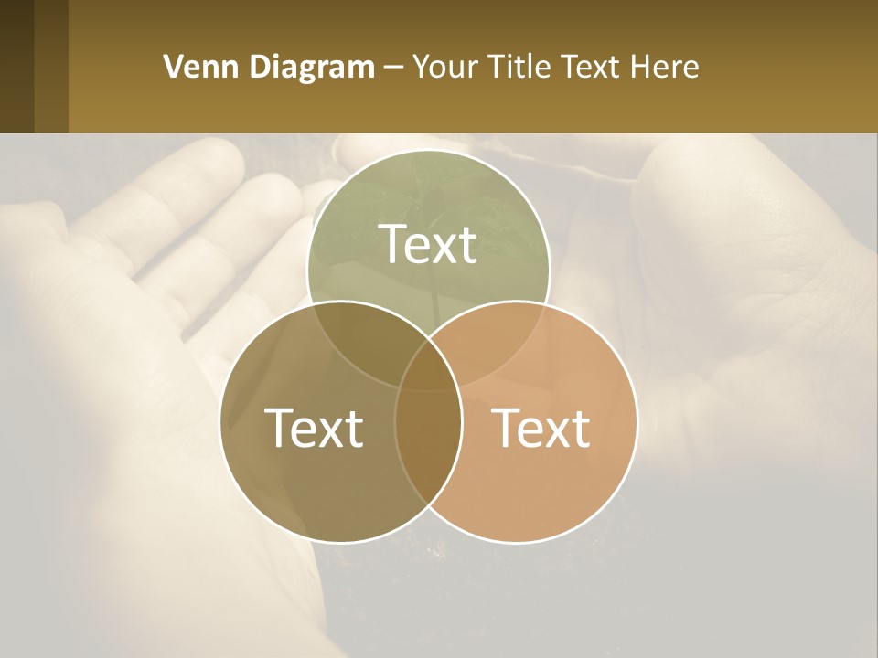Electricity Unit Home PowerPoint Template