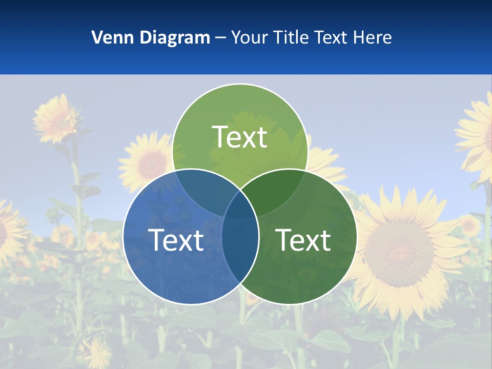 Technology White Switch PowerPoint Template