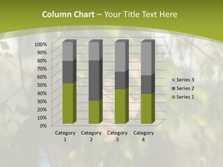 Cool House Technology PowerPoint Template